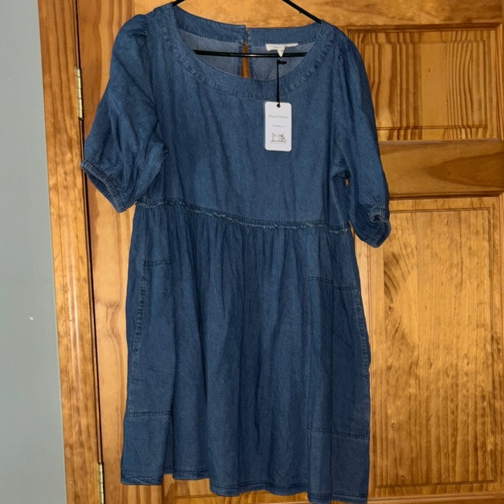 Chambray Maternity Dress